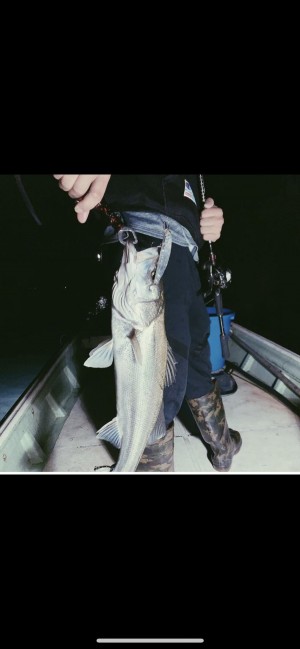 hideup 森田健太郎 ブログ写真 2019/11/12