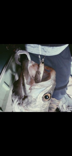 hideup 森田健太郎 ブログ写真 2019/11/12