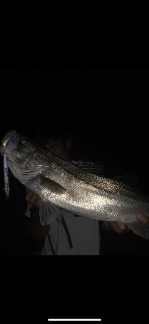 hideup 森田健太郎 ブログ写真 2019/11/12