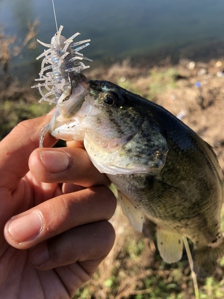 hideup 森田健太郎 ブログ写真 2019/11/13