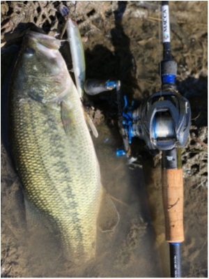 hideup 森田健太郎 ブログ写真 2019/11/13