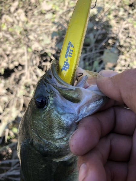hideup 森田健太郎 ブログ写真 2019/11/13