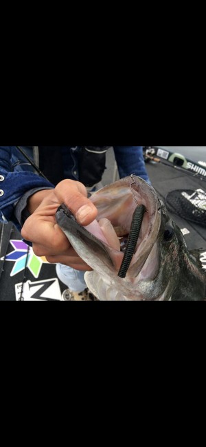 hideup 森田健太郎 ブログ写真 2019/11/13