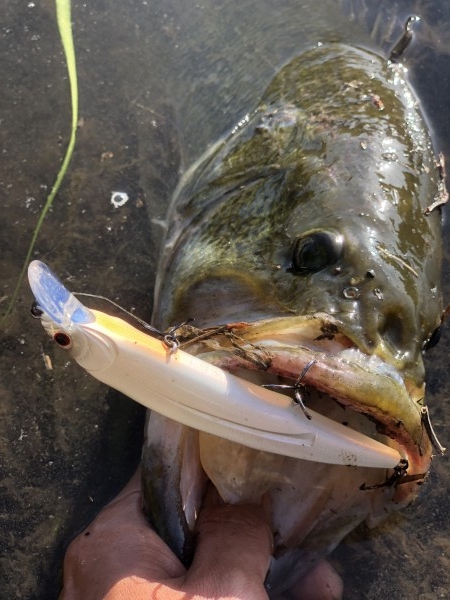 hideup 森田健太郎 ブログ写真 2019/11/17