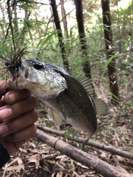 hideup 森田健太郎 ブログ写真 2019/11/20