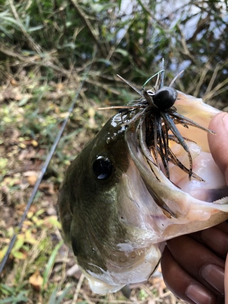 hideup 森田健太郎 ブログ写真 2019/11/20