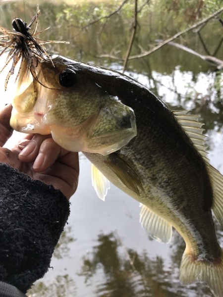 hideup 森田健太郎 ブログ写真 2019/11/20