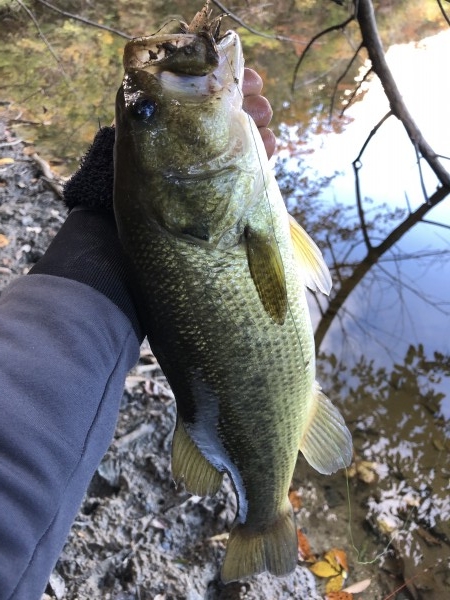 hideup 森田健太郎 ブログ写真 2019/11/20