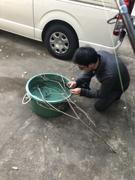 hideup 森田健太郎 ブログ写真 2019/12/01