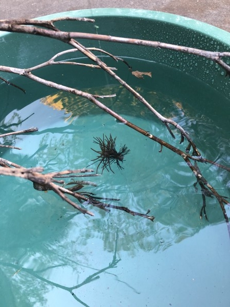 hideup 森田健太郎 ブログ写真 2019/12/01