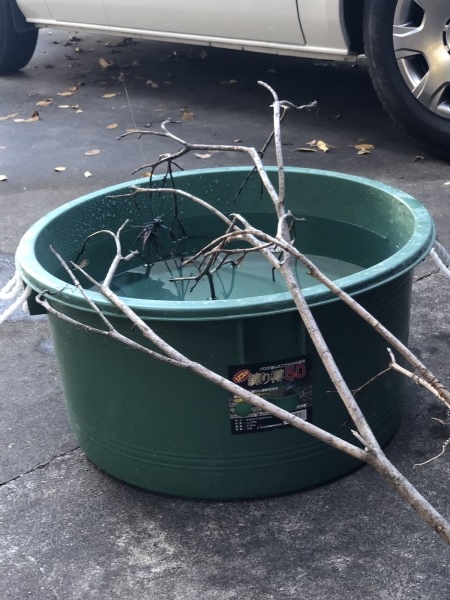 hideup 森田健太郎 ブログ写真 2019/12/01