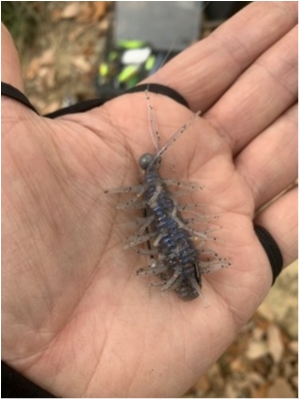 hideup 森田健太郎 ブログ写真 2019/12/07