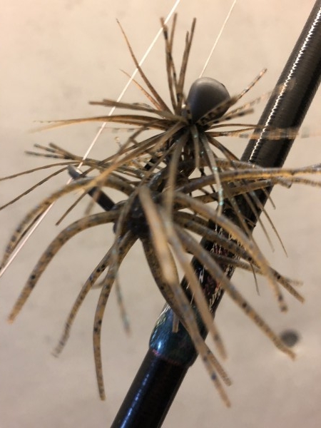 hideup 森田健太郎 ブログ写真 2019/12/11