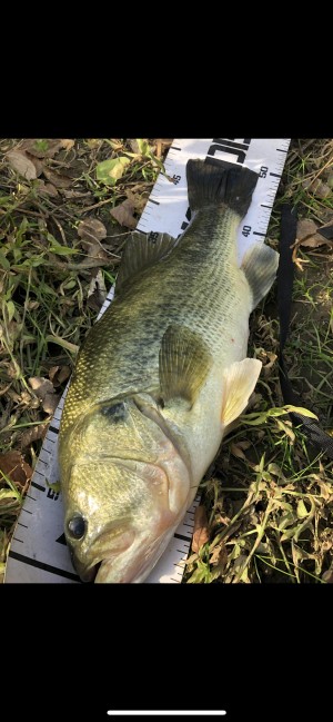 hideup 森田健太郎 ブログ写真 2019/12/13