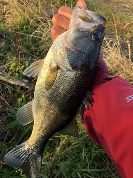 hideup 森田健太郎 ブログ写真 2020/01/03