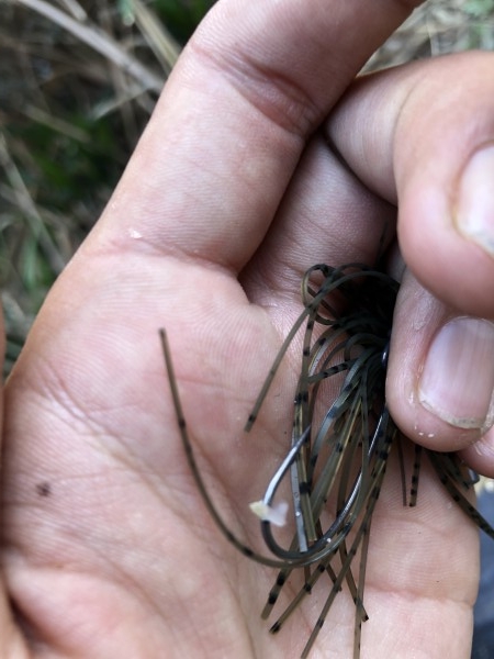 hideup 森田健太郎 ブログ写真 2020/01/28