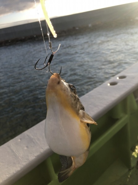 hideup 森田健太郎 ブログ写真 2020/02/03