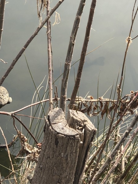 hideup 森田健太郎 ブログ写真 2020/02/07