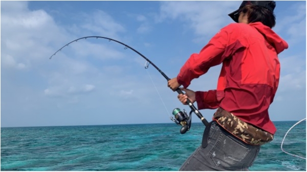 hideup 森田健太郎 ブログ写真 2020/03/02