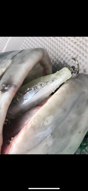 hideup 森田健太郎 ブログ写真 2020/03/02