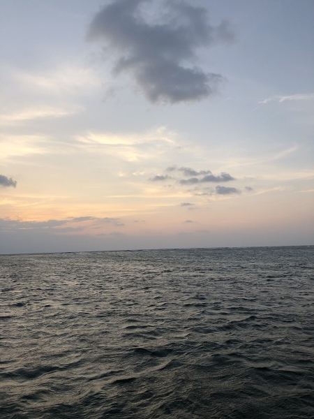 hideup 森田健太郎 ブログ写真 2020/03/02