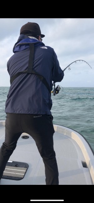 hideup 森田健太郎 ブログ写真 2020/03/02