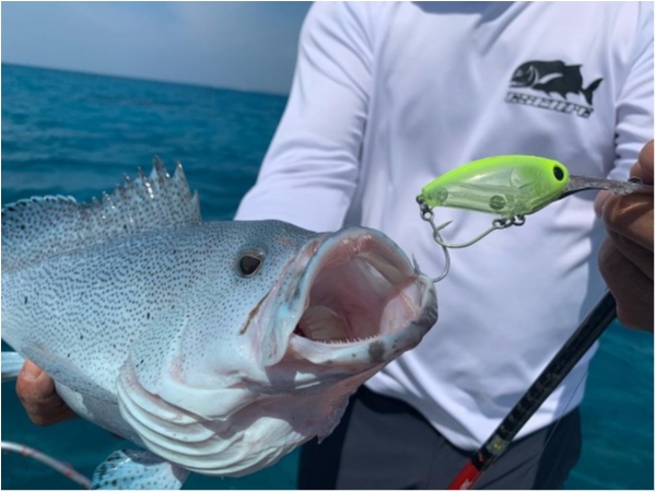 hideup 森田健太郎 ブログ写真 2020/03/02