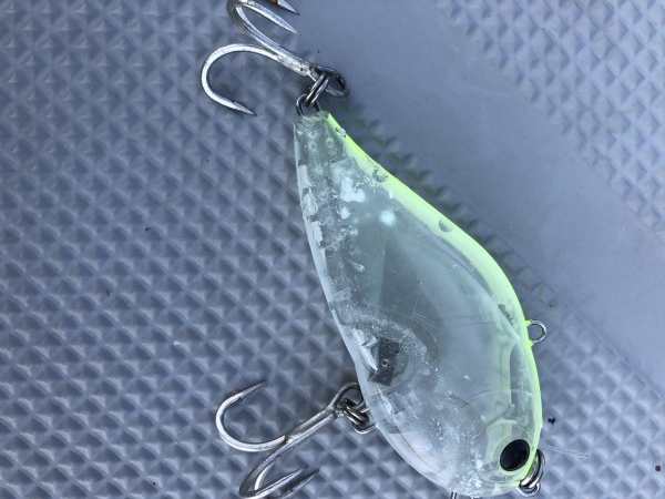 hideup 森田健太郎 ブログ写真 2020/03/02