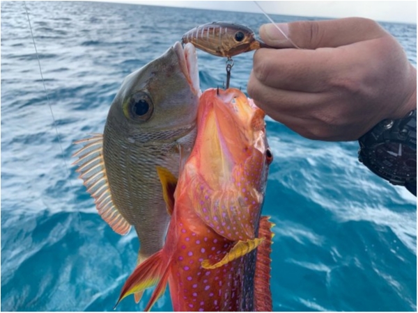 hideup 森田健太郎 ブログ写真 2020/03/02