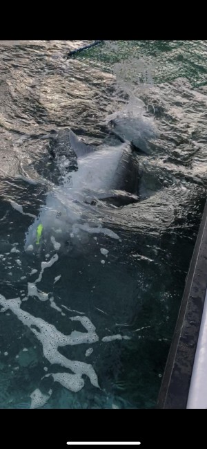 hideup 森田健太郎 ブログ写真 2020/03/02