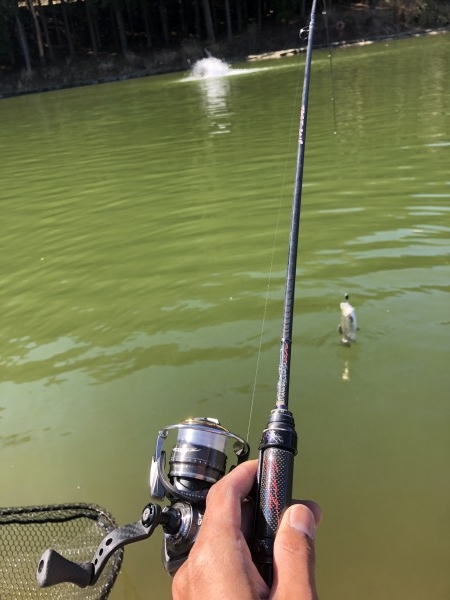 hideup 森田健太郎 ブログ写真 2020/03/14