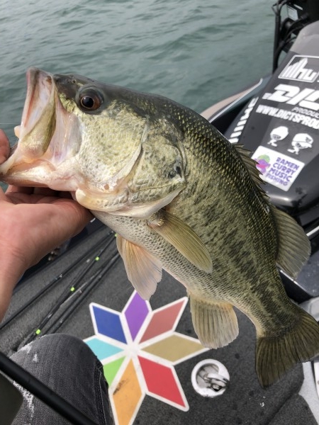 hideup 森田健太郎 ブログ写真 2020/03/16