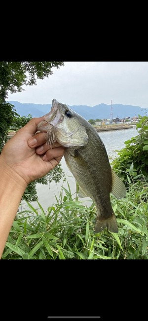 hideup 森田健太郎 ブログ写真 2020/06/10