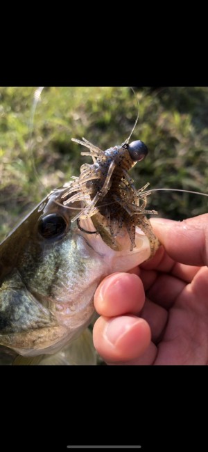 hideup 森田健太郎 ブログ写真 2020/06/10