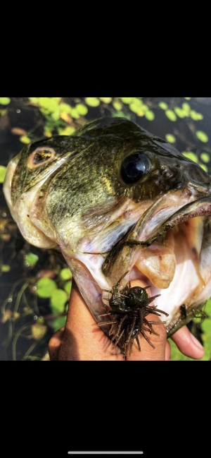 hideup 森田健太郎 ブログ写真 2020/06/10