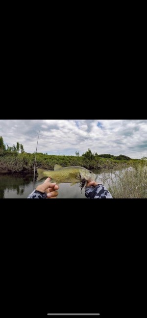 hideup 森田健太郎 ブログ写真 2020/06/10