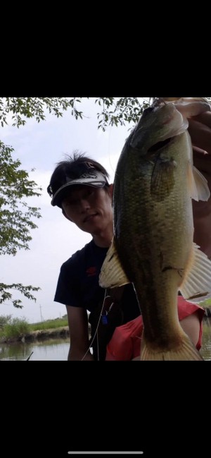 hideup 森田健太郎 ブログ写真 2020/06/10