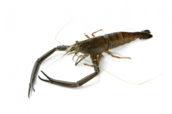 hideup 森田健太郎 ブログ写真 2020/06/15