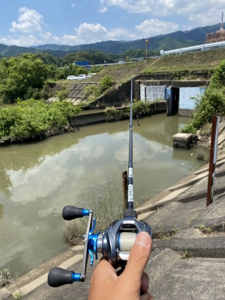 hideup 森田健太郎 ブログ写真 2020/06/17