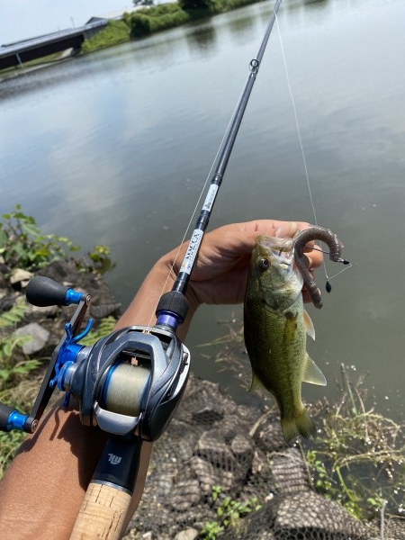 hideup 森田健太郎 ブログ写真 2020/06/17