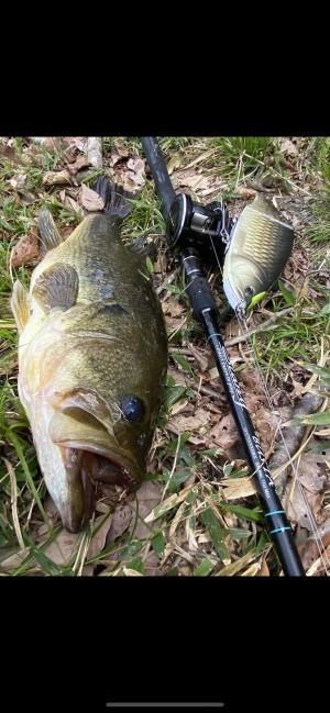 hideup 森田健太郎 ブログ写真 2020/06/30