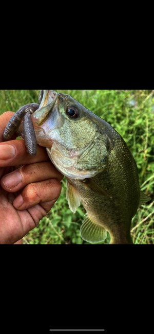hideup 森田健太郎 ブログ写真 2020/07/03