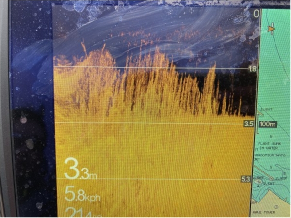 hideup 森田健太郎 ブログ写真 2020/07/07