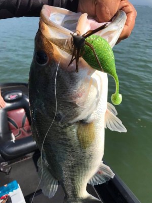 hideup 永野総一朗 ブログ写真 2017/06/16