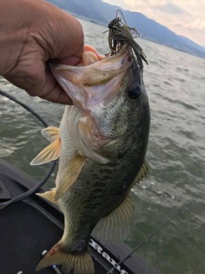 hideup 永野総一朗 ブログ写真 2017/06/16