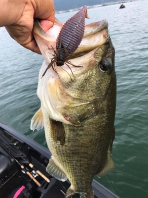 hideup 永野総一朗 ブログ写真 2017/06/26