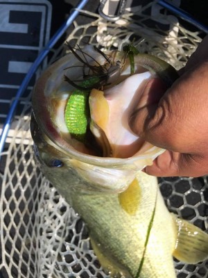 hideup 永野総一朗 ブログ写真 2017/06/16