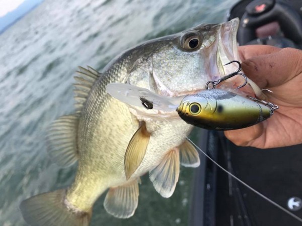 hideup 永野総一朗 ブログ写真 2017/06/16