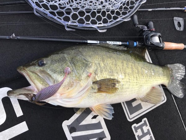 hideup 永野総一朗 ブログ写真 2017/06/26