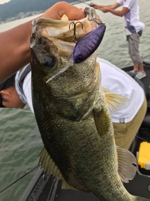 hideup 永野総一朗 ブログ写真 2017/06/26